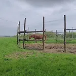 Nocleg ze śniadaniem La Maison Rouge *