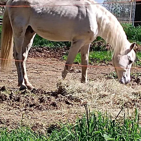La Maison Rouge Crespellano