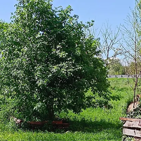 Couette-café La Maison Rouge Crespellano