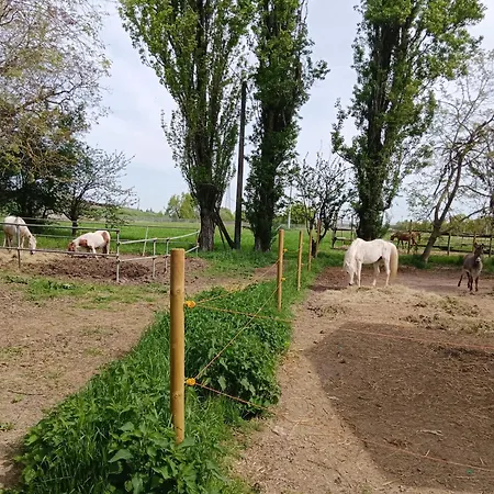 Bed & Breakfast La Maison Rouge