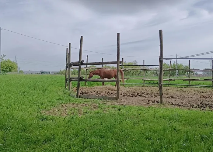 Couette-café La Maison Rouge *