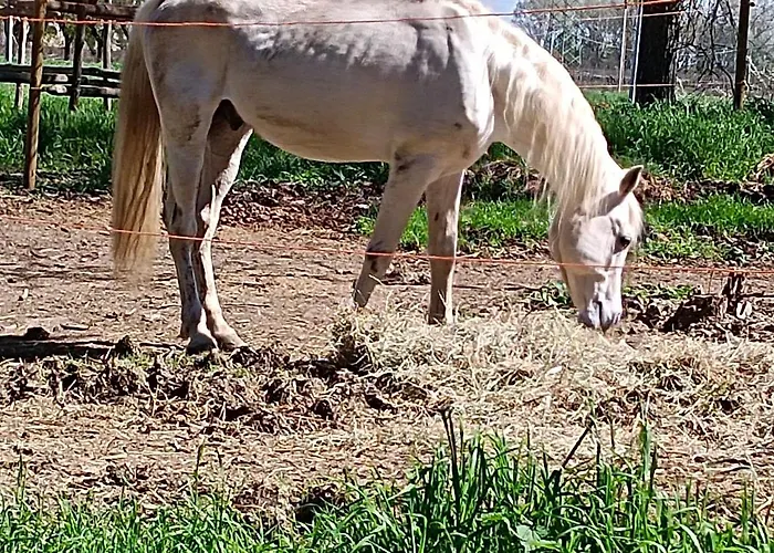 La Maison Rouge Crespellano