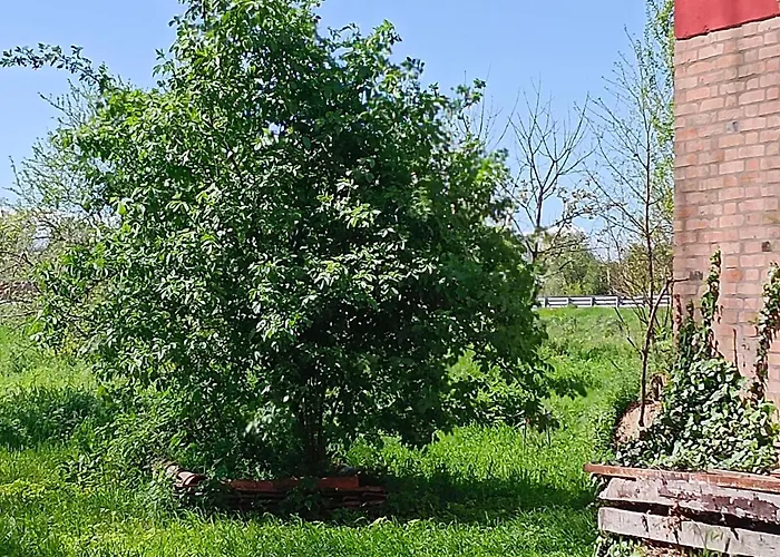 Bed & Breakfast La Maison Rouge Crespellano