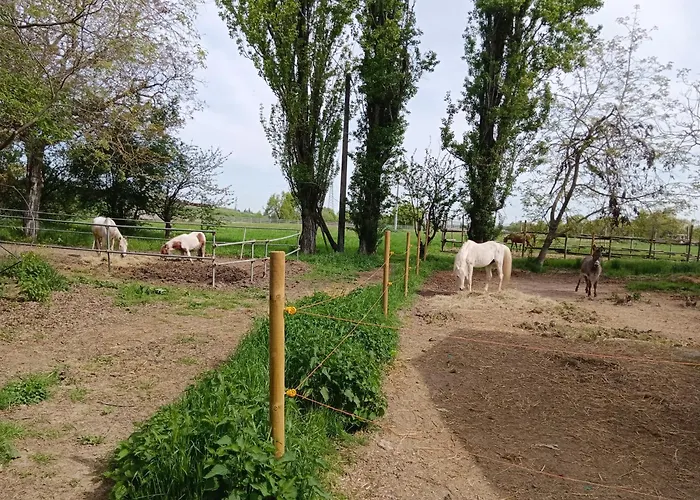 Bed & Breakfast La Maison Rouge